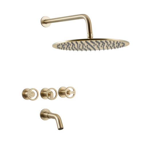 Línea Pulse - Ducha Bicomando Gold